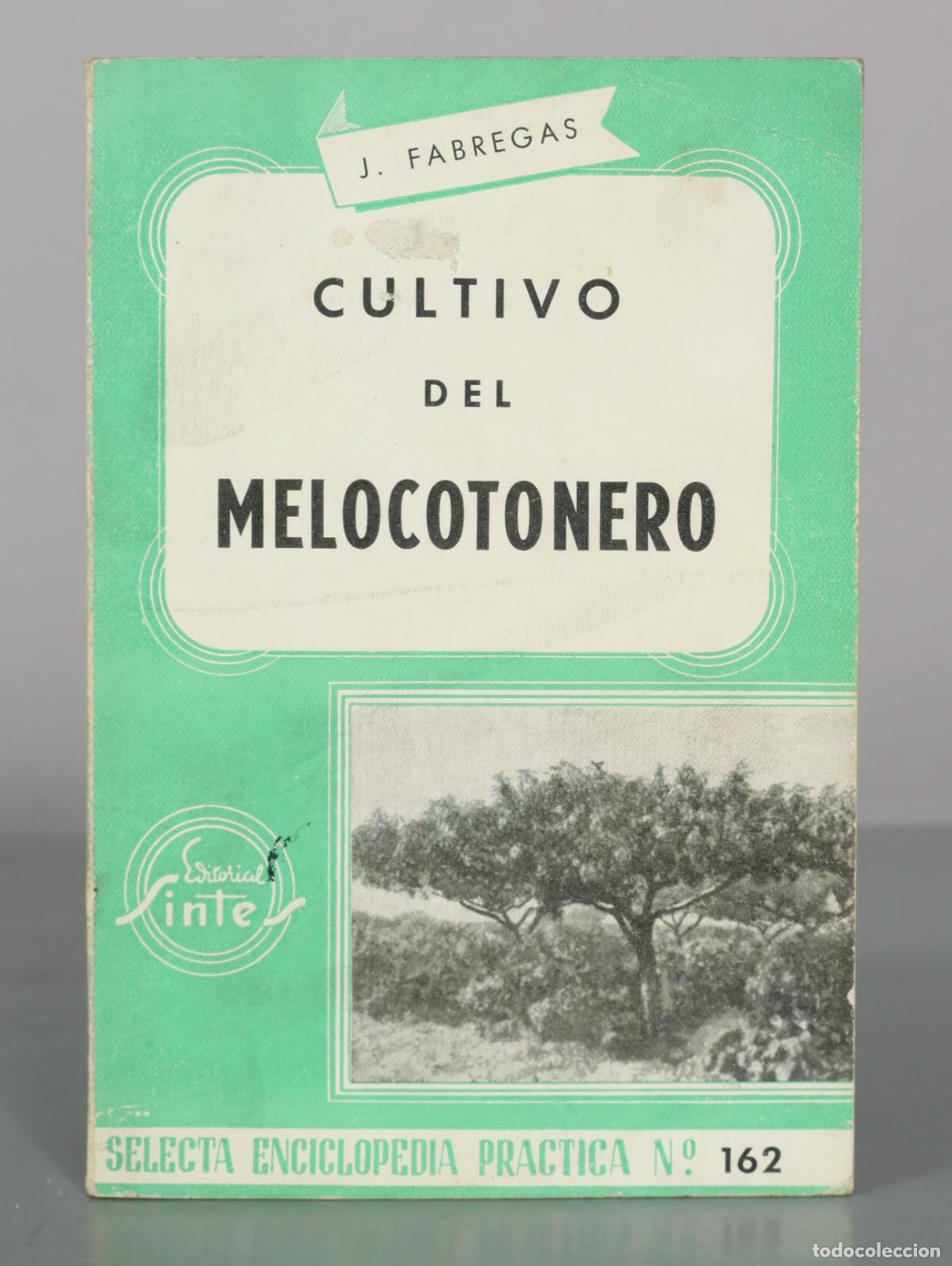 Libros de segunda mano: Cultivo del melocotonero - J. F&aacute;bregas - Editorial Inter