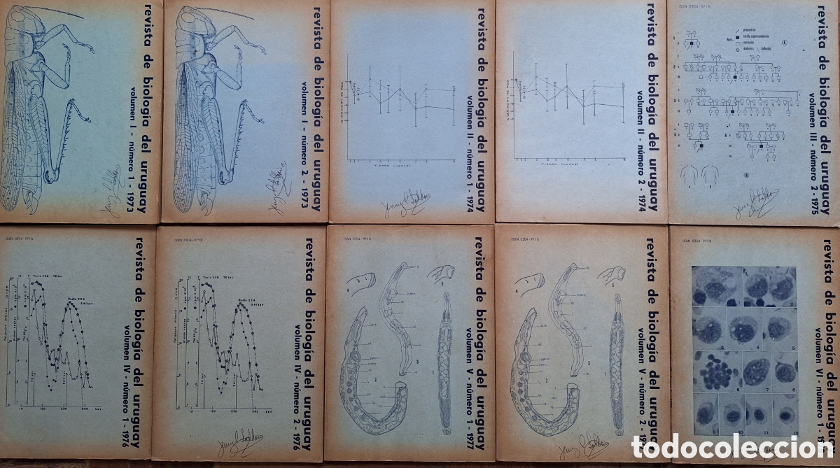 Libros de segunda mano: COLECCION 10 REVISTA DE BIOLOGIA DE URUGUAY 1973/8 MA&Ntilde;E GARZON VAZ FERREIRA TALICE