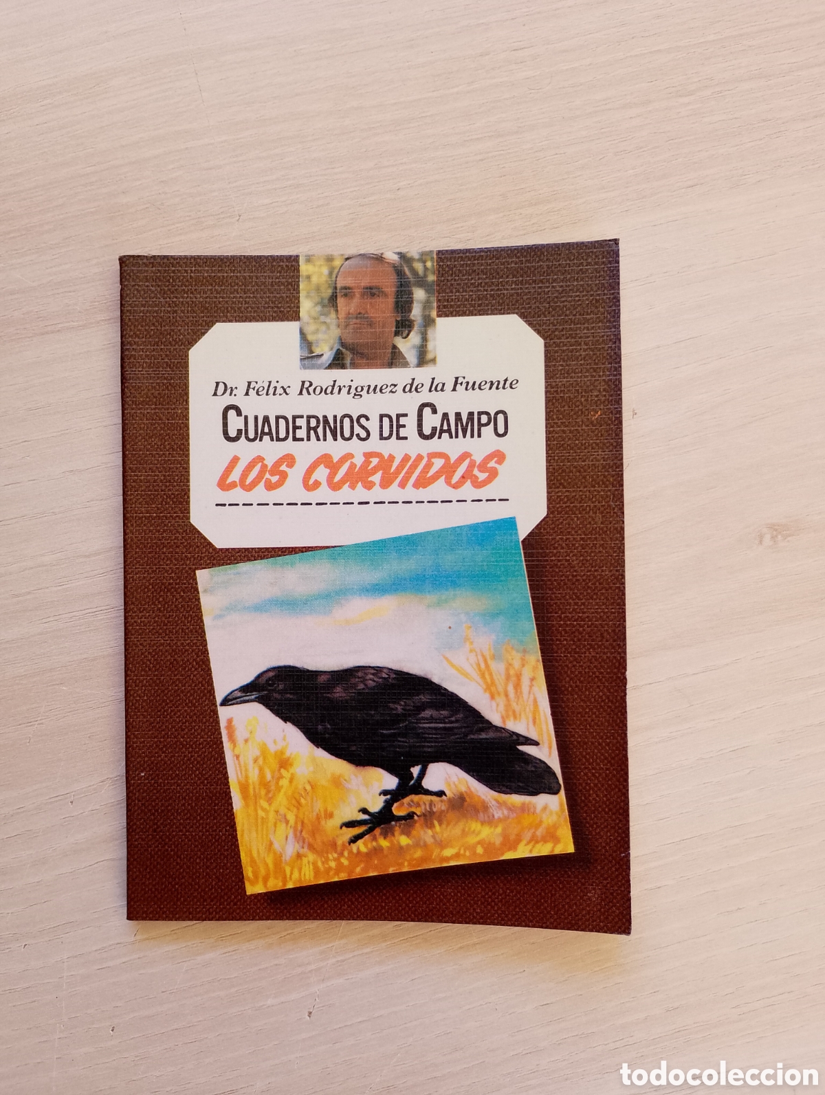 Second hand books: Los c&oacute;rvidos. Cuadernos de campo n&ordm; 17. F&eacute;lix Rodr&iacute;guez de la Fuente