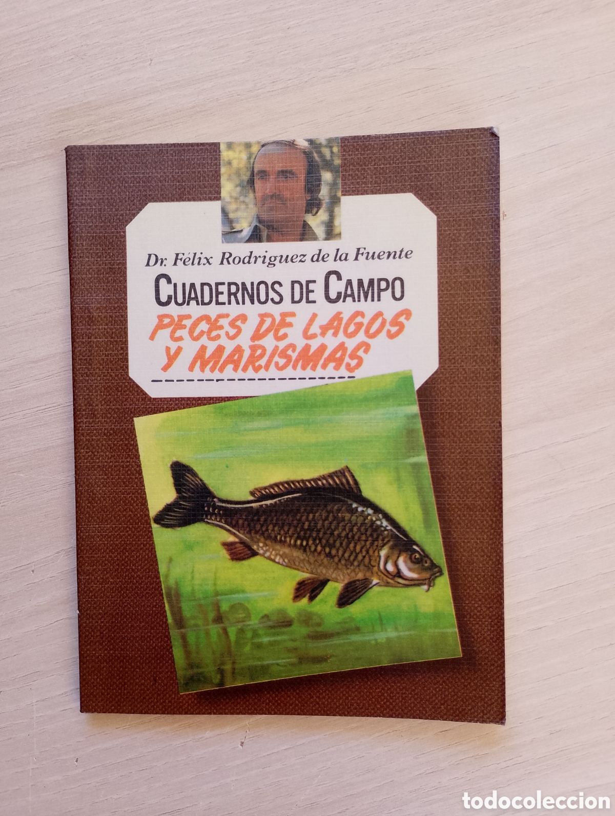 Second hand books: Peces de lagos y marismas. Cuadernos de campo n&ordm; 18. F&eacute;lix Rodr&iacute;guez de la Fuente