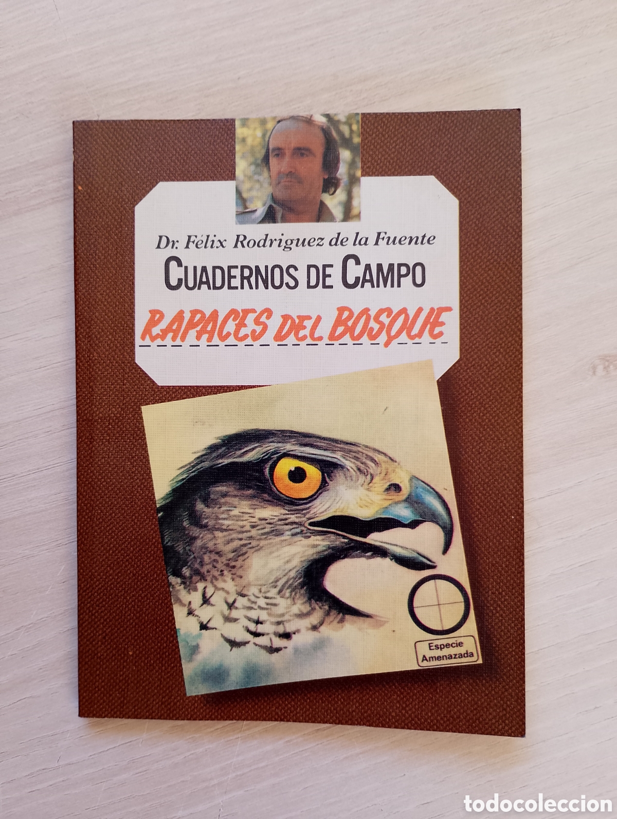 Second hand books: Rapaces de bosque. Cuadernos de campo n&ordm; 36. F&eacute;lix Rodr&iacute;guez de la Fuente