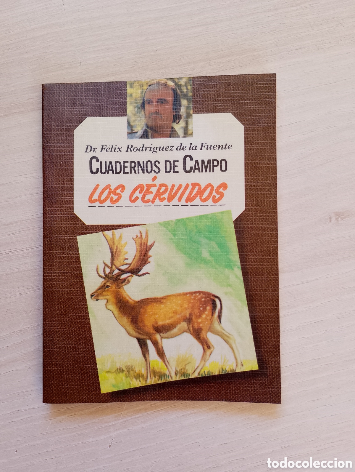Second hand books: Los c&eacute;rvidos. Cuadernos de campo n&ordm; 51. F&eacute;lix Rodr&iacute;guez de la Fuente
