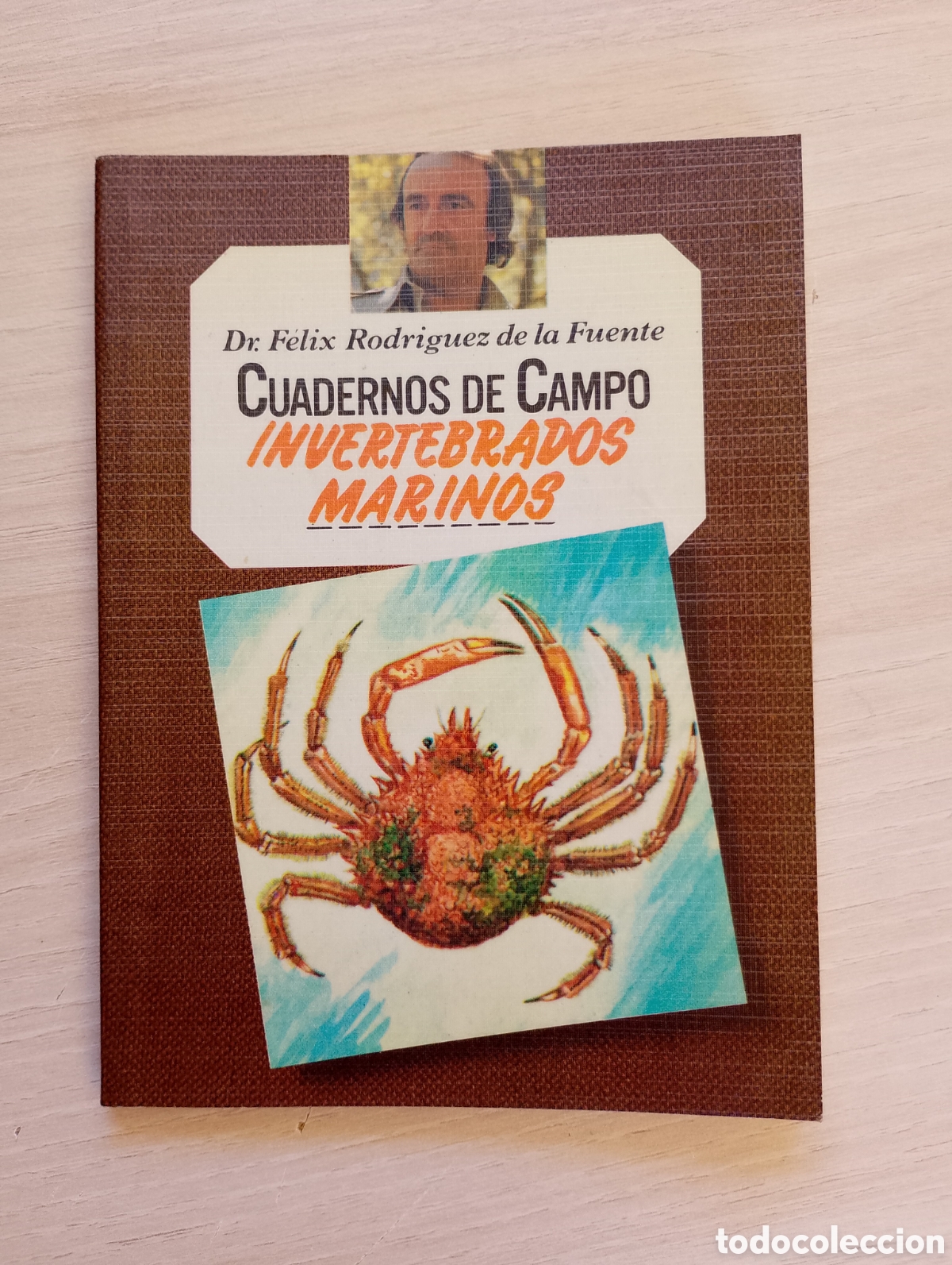 Second hand books: Invertebrados marinos. Cuadernos de campo n&ordm; 53. F&eacute;lix Rodr&iacute;guez de la Fuente
