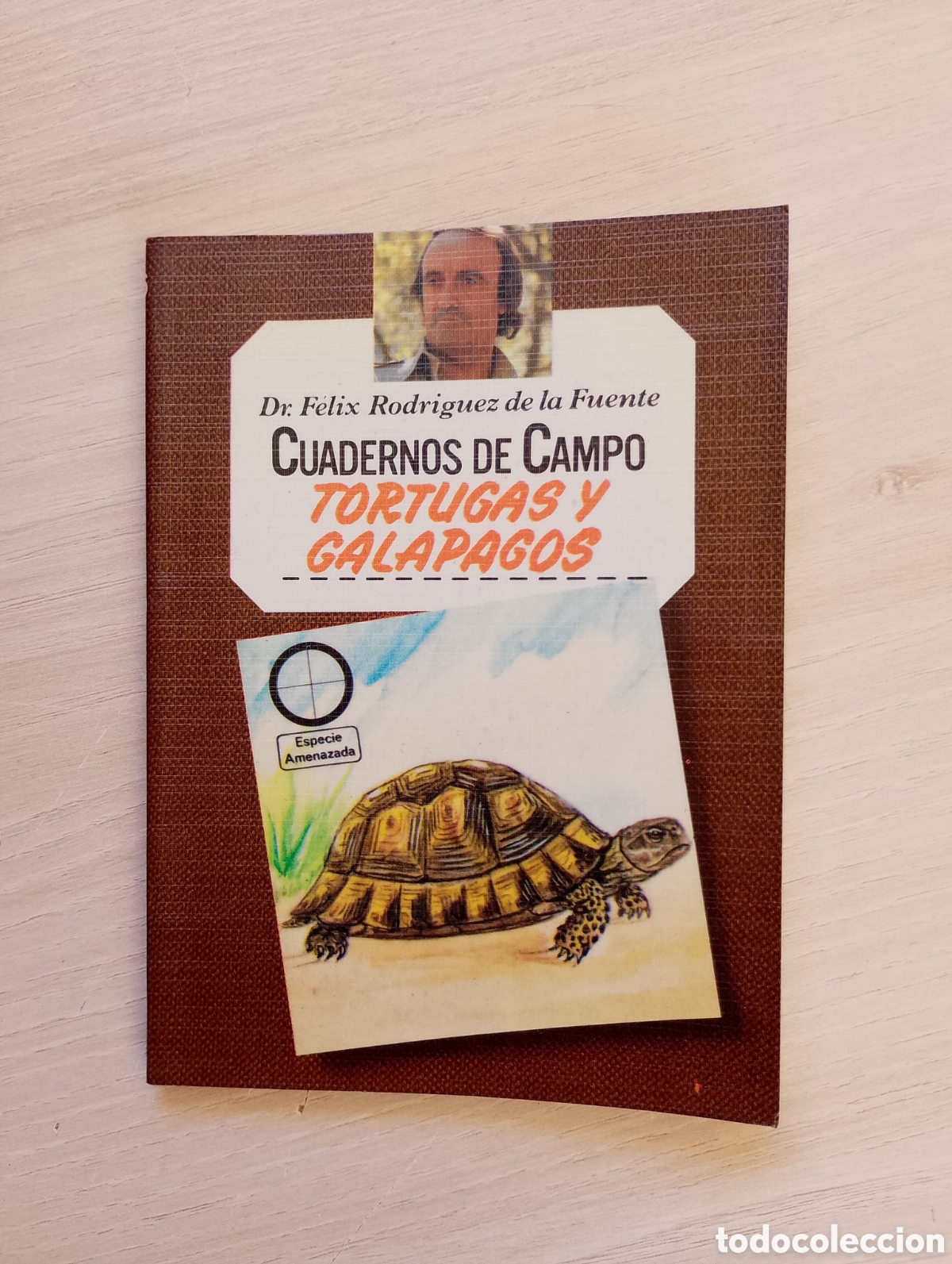 Second hand books: Tortugas y galapagos. Cuadernos de campo n&ordm; 56. F&eacute;lix Rodr&iacute;guez de la Fuente