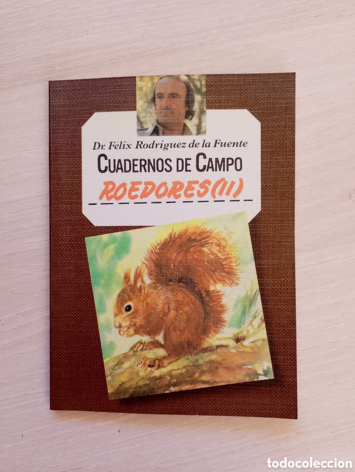Second hand books: Roedores II. Cuadernos de campo n&ordm; 59. F&eacute;lix Rodr&iacute;guez de la Fuente