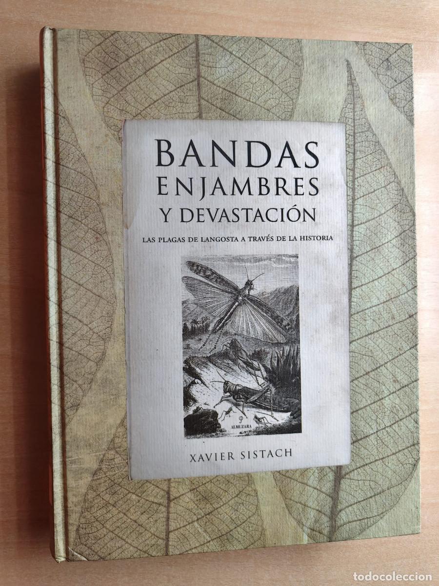 Livros em segunda m&atilde;o: BANDAS ENJAMBRES Y DEVASTACI&Oacute;N - Las plagas de langosta a trav&eacute;s de la historia - Xavier Sistach