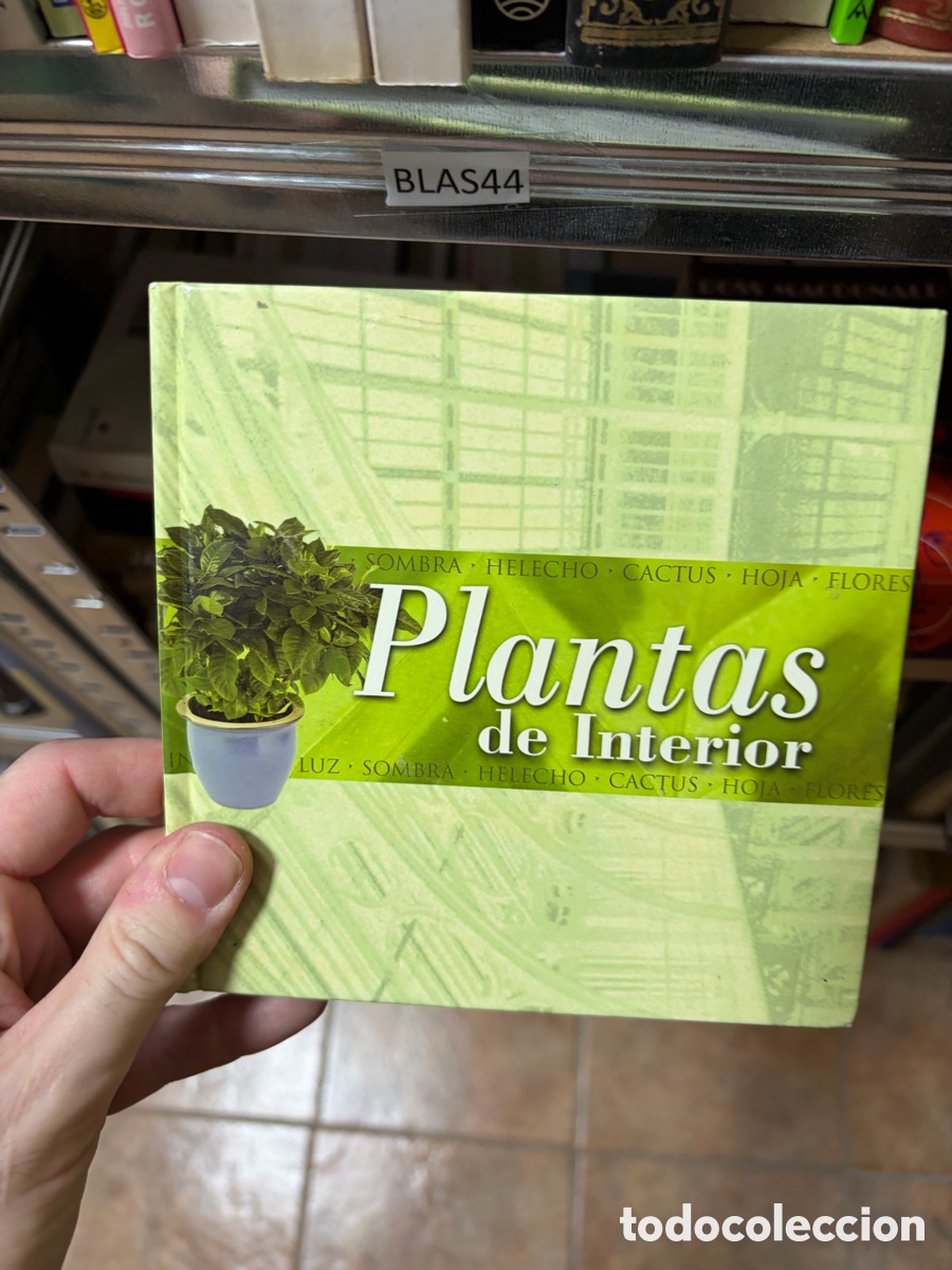 Libros de segunda mano: BLAS44 SOMBRA &bull; HELECHO &bull; CACTUS &bull; HOJA &bull; FLORES Plantas de Interior