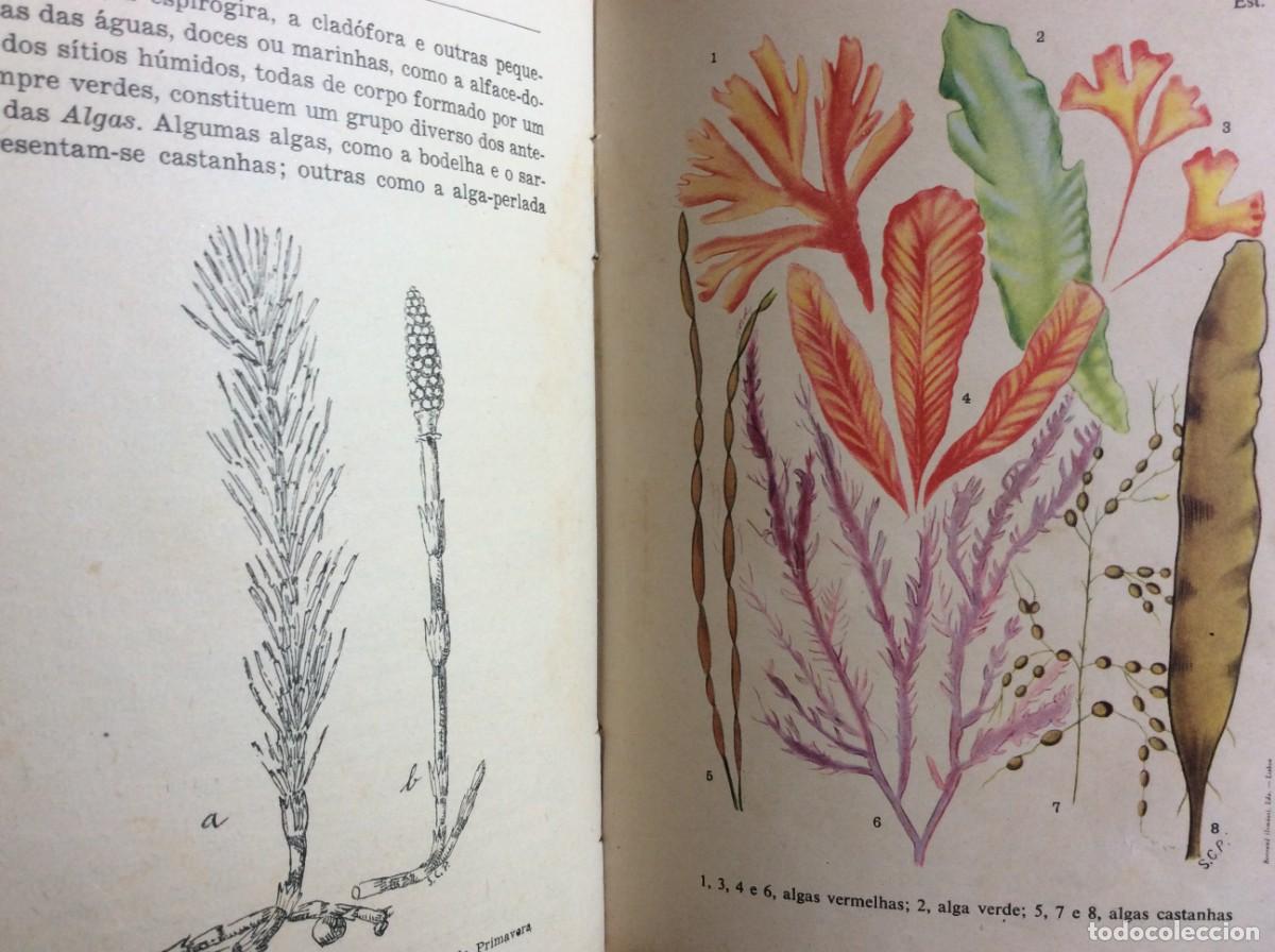 Libros de segunda mano: Comp&ecirc;ndio de bot&acirc;nica: para o 2.&deg; ciclo liceal. Por Seomara da Costa Primo