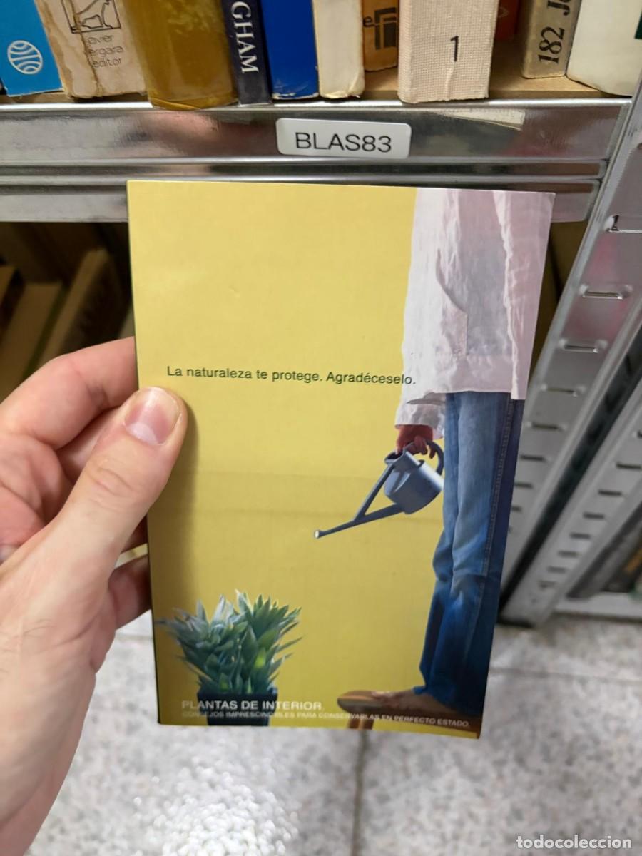 Libros de segunda mano: BLAS83 Plantas de interior