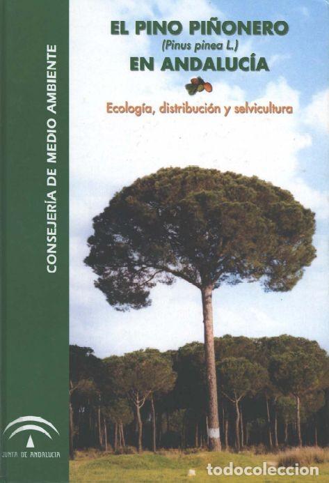 Libros de segunda mano: El pino pi&ntilde;onero (Pinus pinea L.) en Andaluc&iacute;a. Selvicultura. Bot&aacute;nica. Forestal