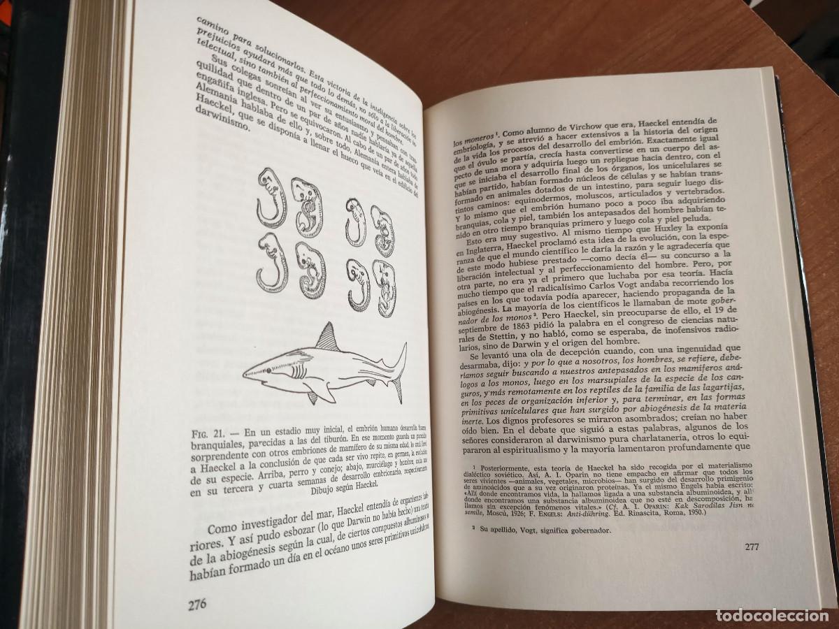 Libros de segunda mano: Tras las huellas de Ad&aacute;n - Herbert Wendt - Noguer, 1973 - Foto 5