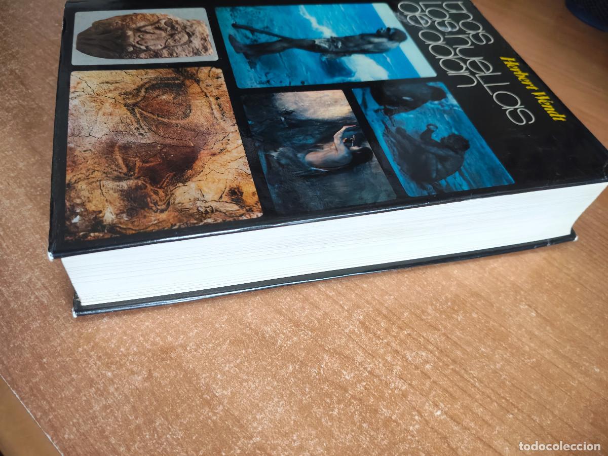 Libros de segunda mano: Tras las huellas de Ad&aacute;n - Herbert Wendt - Noguer, 1973