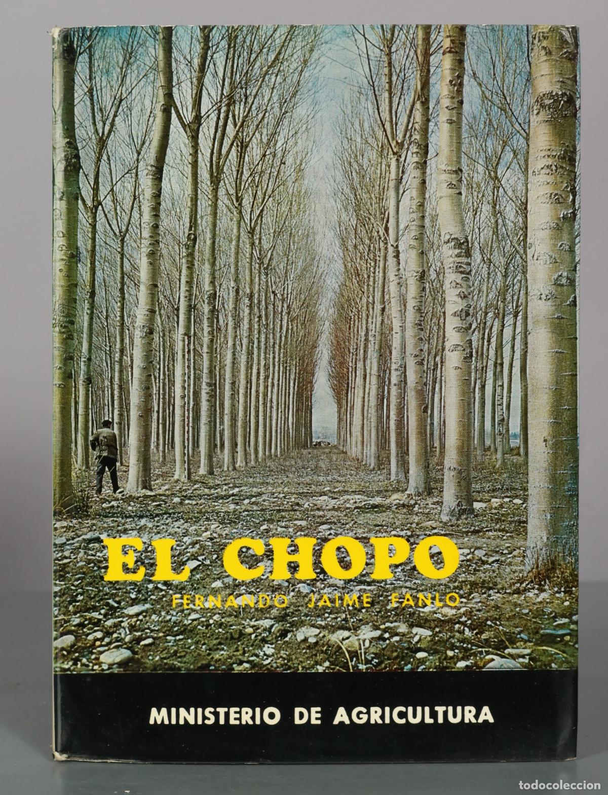 Libros de segunda mano: El chopo, pr&aacute;ctica de su plantaci&oacute;n y tratamiento - Fernando Jaime Fanlo - Ministerio de Agricultura
