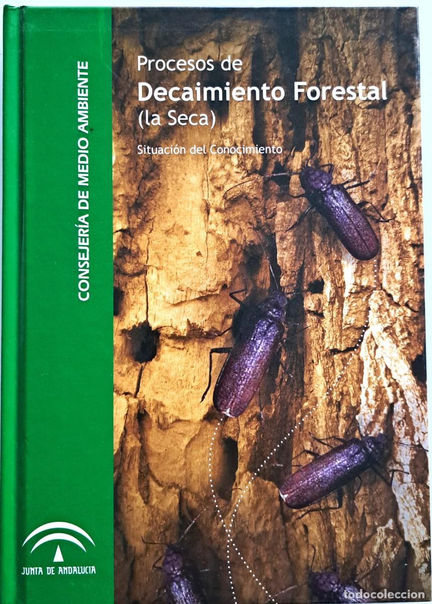 Libros de segunda mano: Procesos de Decaimiento Forestal (la Seca). Plagas y enfermedades forestales