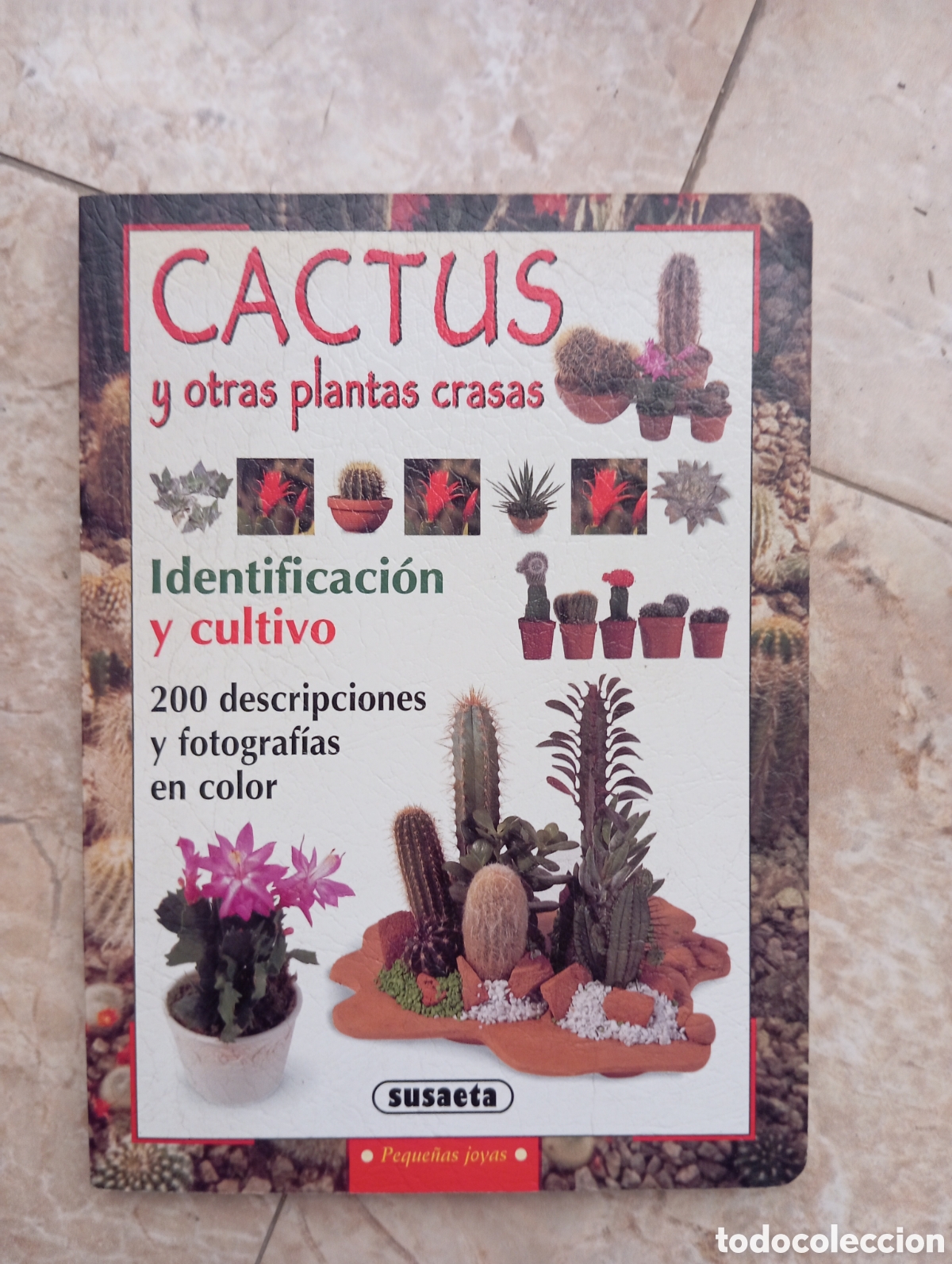 Livres d'occasion: CACTUS Y OTRAS PLANTAS CRASAS SUSAETA