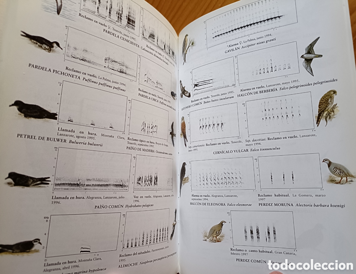Libros de segunda mano: Cantos y reclamos de las aves de Canarias. (Sin cds) - Foto 2
