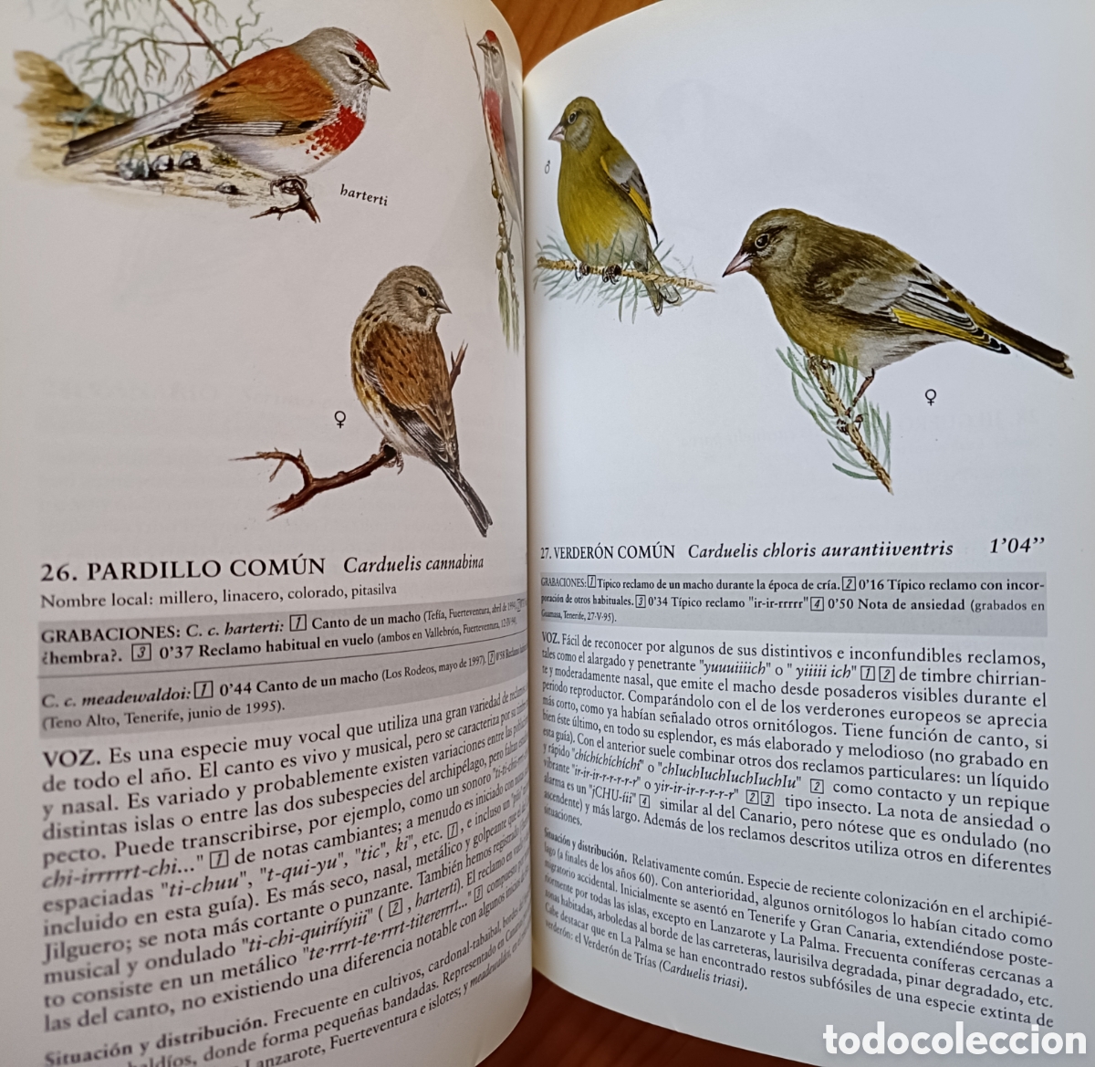 Libros de segunda mano: Cantos y reclamos de las aves de Canarias. (Sin cds) - Foto 4