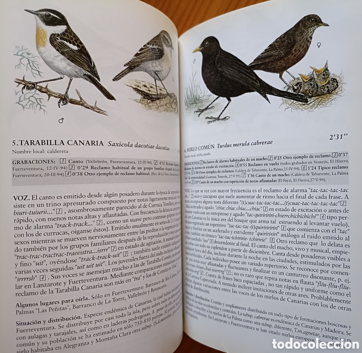 Libros de segunda mano: Cantos y reclamos de las aves de Canarias. (Sin cds) - Foto 5