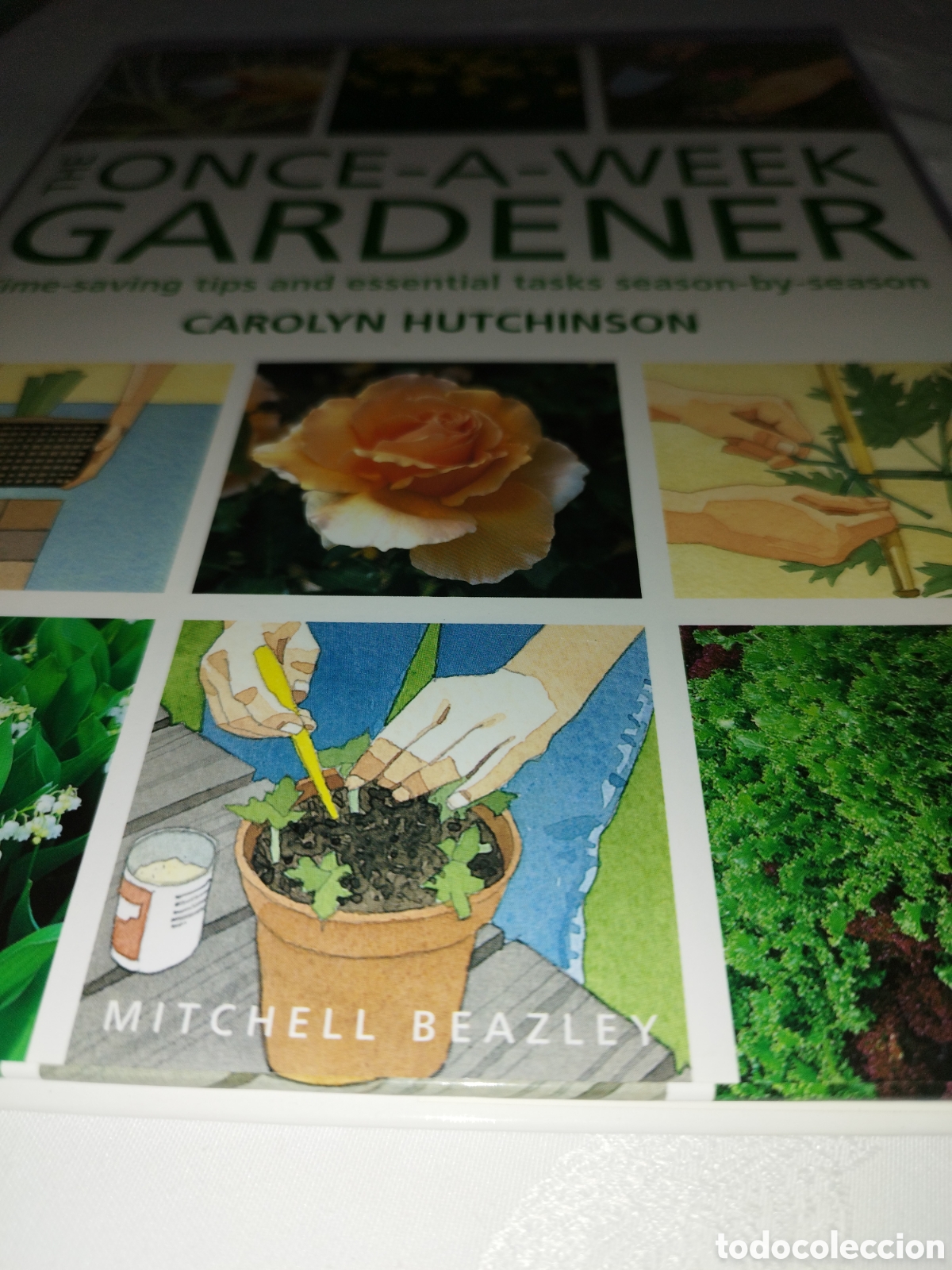 Libros de segunda mano: THE ONCE-A-WEEK GARDENER.- C. HUTCHINSON. ED. MITCHELL BEAZLEY, 1999. MUY ILUSTRADO.