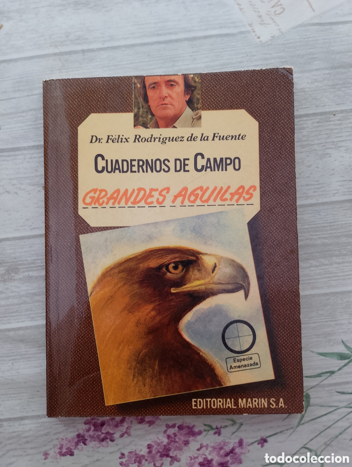 Libros de segunda mano: Grandes &aacute;guilas. Cuadernos de campo n&ordm; 2. F&eacute;lix Rodr&iacute;guez de la Fuente
