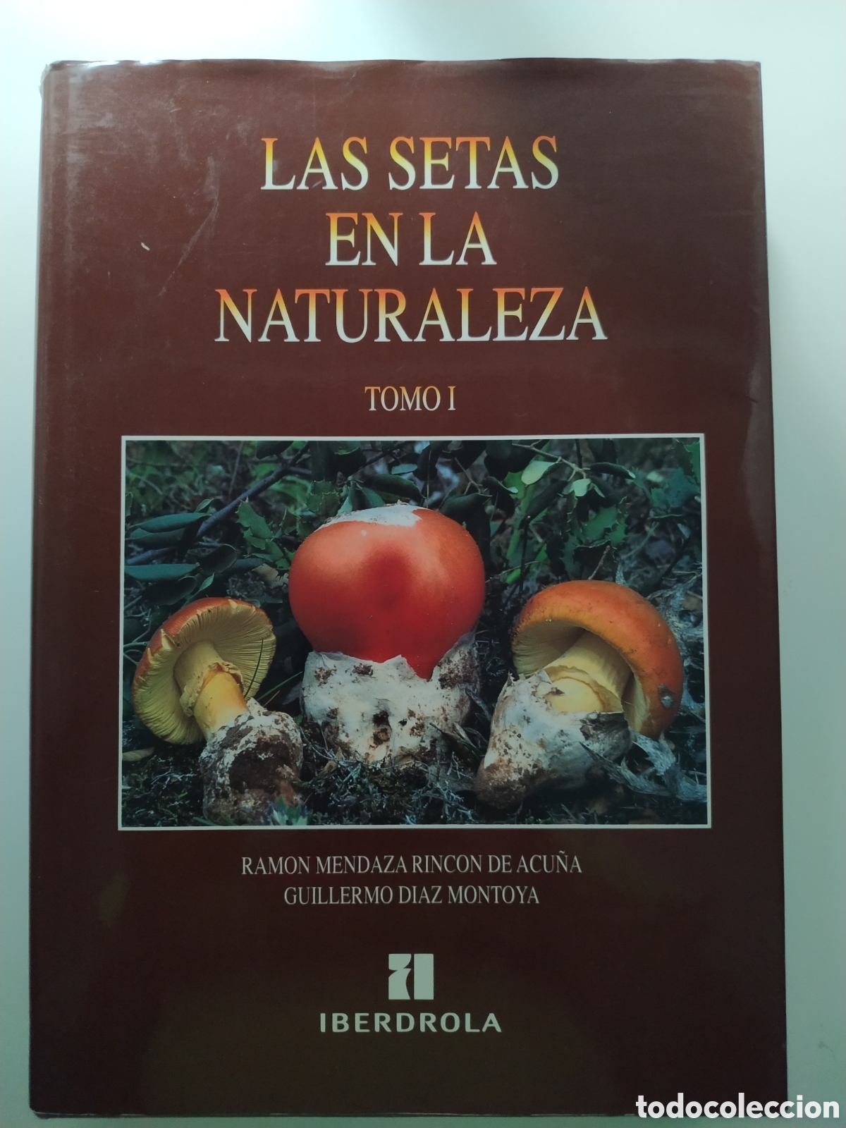 Libros de segunda mano: LAS SETAS EN LA NATURALEZA. TOMO I. EDITA: IBERDROLA 1998. RAM&Oacute;N MENDAZA RINC&Oacute;N DE ACU&Ntilde;A