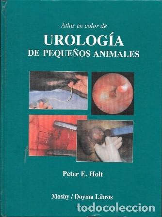 Libros de segunda mano: ATLAS EN COLOR DE UROLOGIA DE PEQUE&Ntilde;OS ANIMALES - E. HOLT, PETER - A-VETER-207