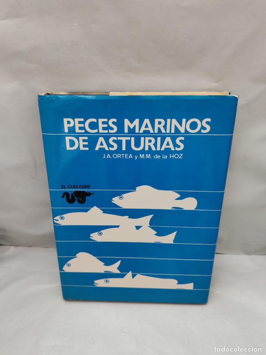 Libros de segunda mano: Peces marinos de Asturias (Dedicatoria y firma aut&oacute;grafa de autor, Primera edici&oacute;n)