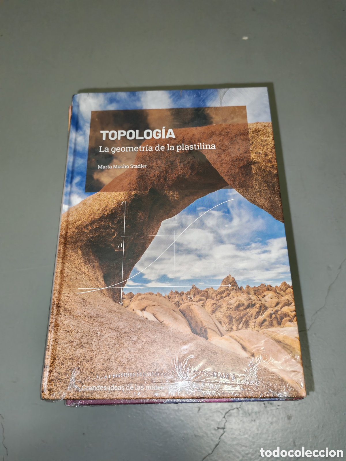 Livres d'occasion: Topolog&iacute;a. La Geometr&iacute;a de la plastilina (sin recorrido comercial, COMO NUEVO)
