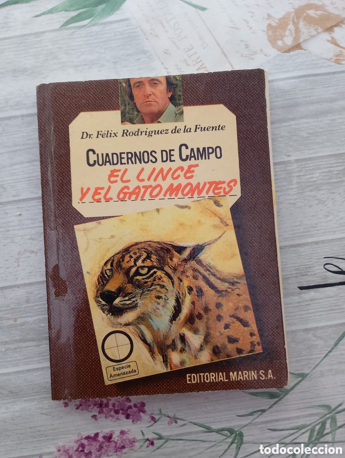 Libros de segunda mano: El lince y el gato mont&eacute;s. Cuadernos de campo