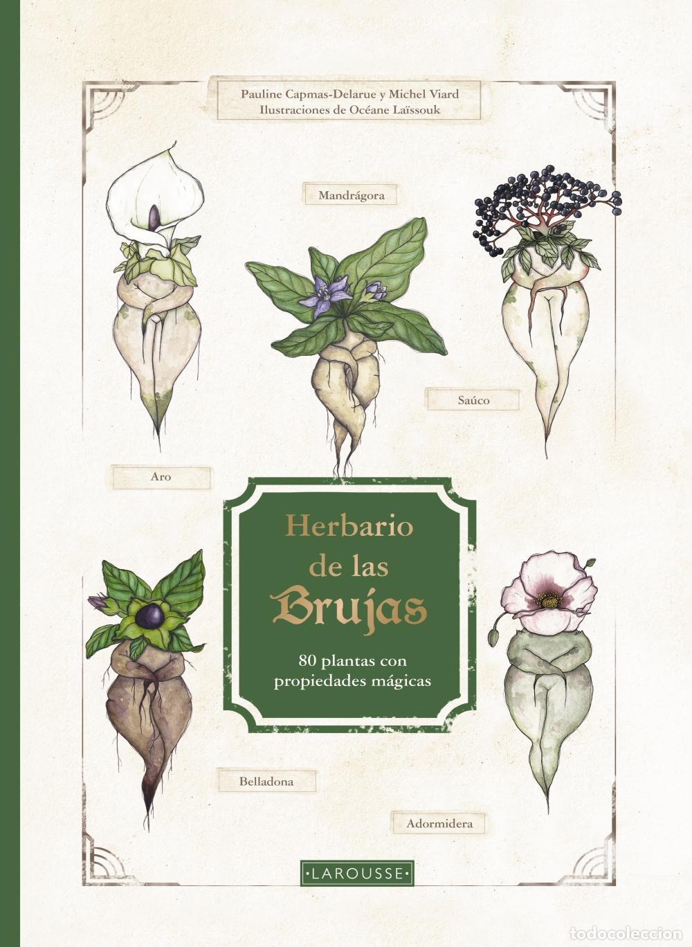 Libros de segunda mano: Herbario de las brujas. - Capmas-Delarue, Pauline.