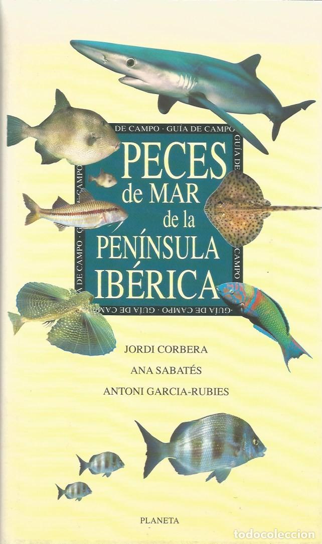 Libros de segunda mano: PECES DE MAR DE LA PEN&Iacute;NSULA IB&Eacute;RICA - JORDI CORBERA, ANA SABAT&Eacute;S, ANTONI GARCIA-RUBIES