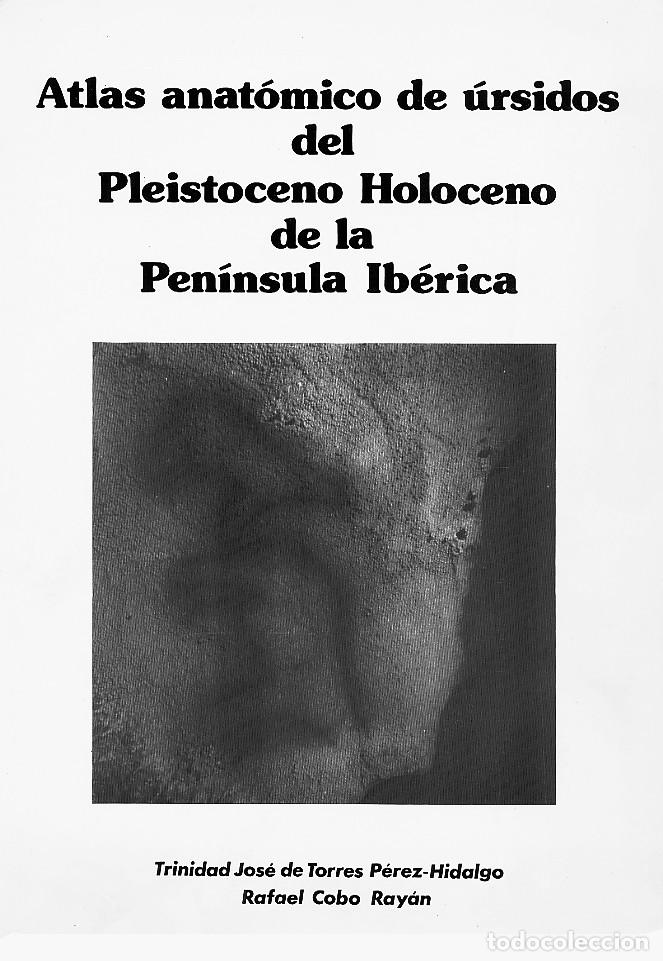 Libros de segunda mano: ATLAS ANATOMICO DE URSIDOS DEL PLEISTOCENO HOLOCENO DE LA PENINSULA IBERICA