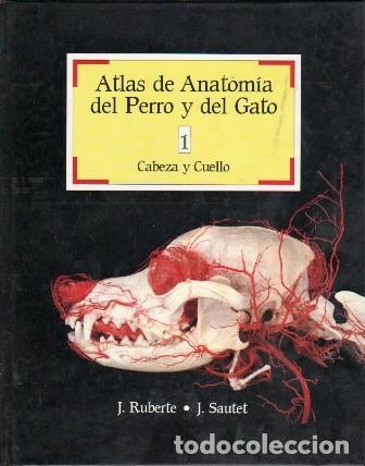 Libros de segunda mano: ATLAS DE ANATOMIA DEL PERRO Y EL GATO 1 CABEZA Y CUELLO - RUBERTE, J. / SAUTET, J. - A-VETER-218