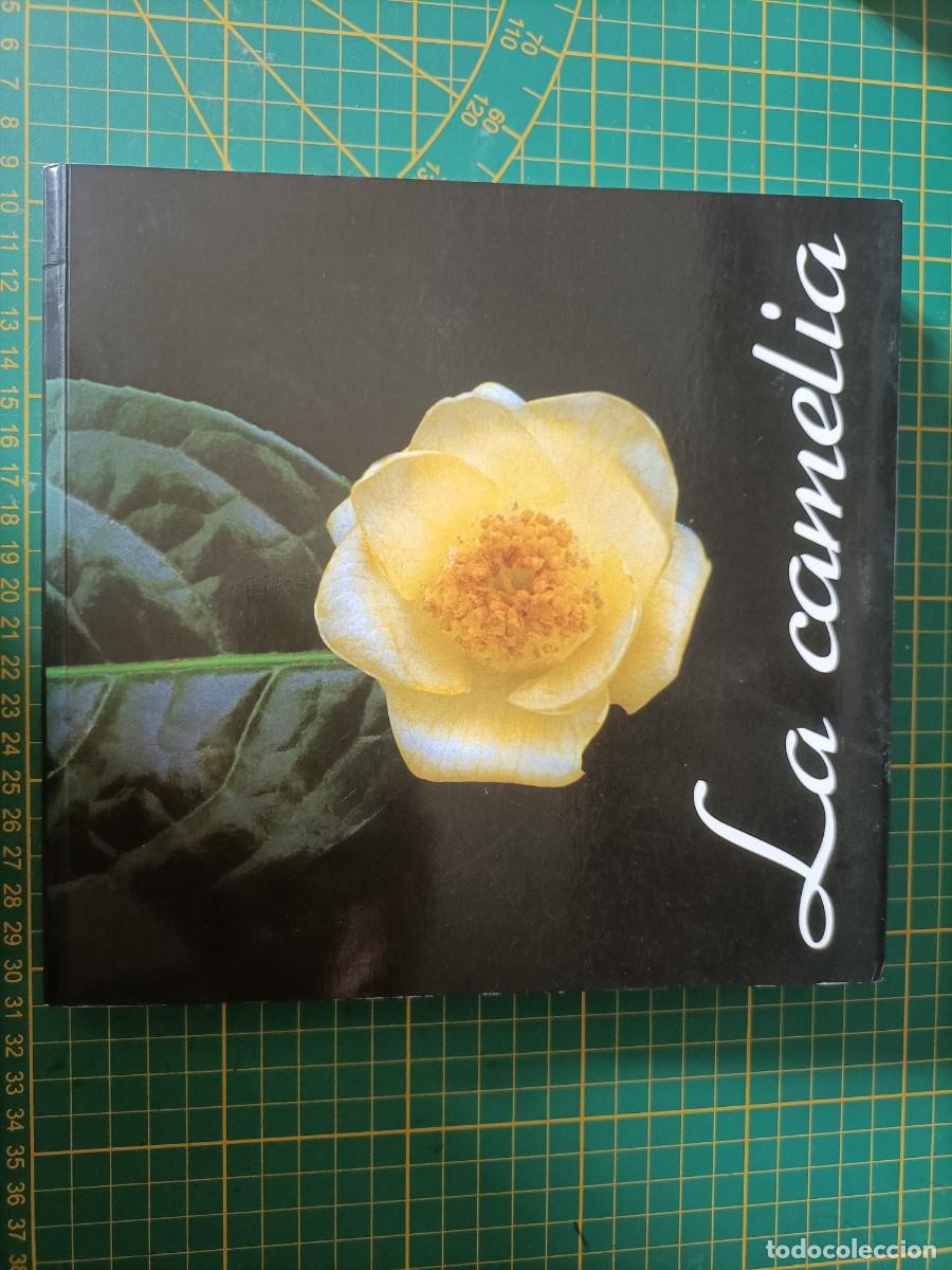 Libros de segunda mano: LA CAMELIA - VV.AA. - DIPUTACI&Oacute;N PROVINCIAL DE PONTEVEDRA. 2001