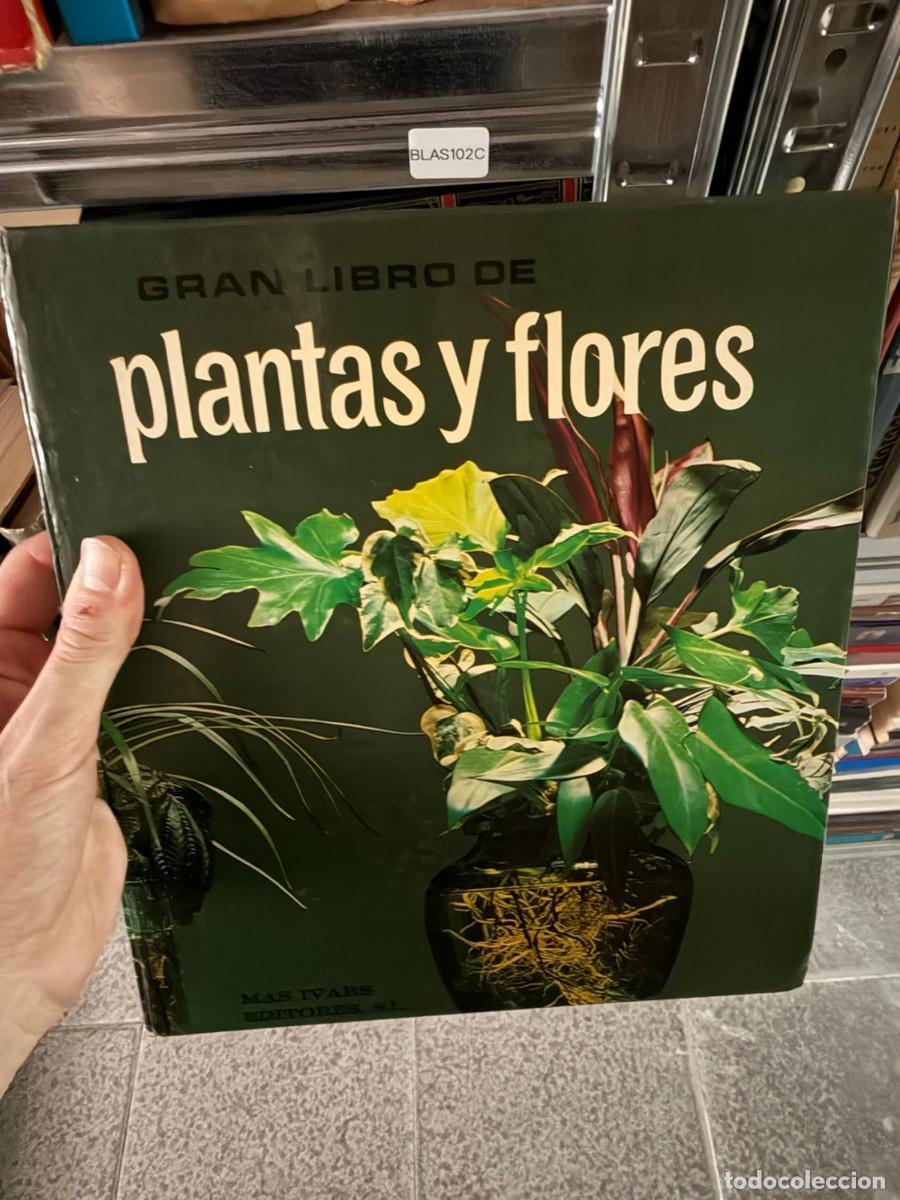 Libros de segunda mano: BLAS102C Gran libro de plantas y flores