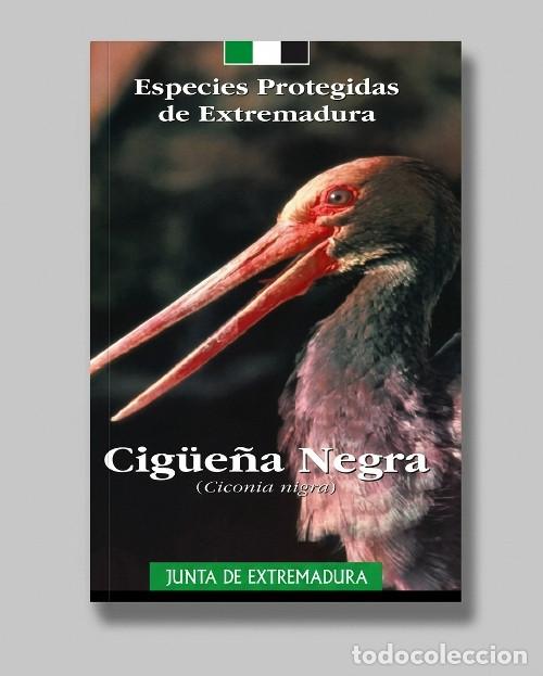 Libros de segunda mano: ESPECIES PROTEGIDAS DE EXTREMADURA. CIG&Uuml;E&Ntilde;A NEGRA. CICONIA NIGRA. AVES. FAUNA.
