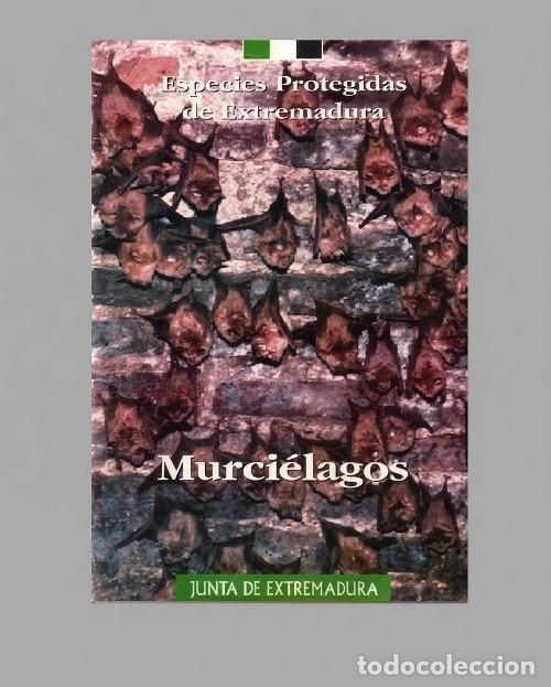 Libros de segunda mano: ESPECIES PROTEGIDAS DE EXTREMADURA. MURCIELAGOS. FAUNA.