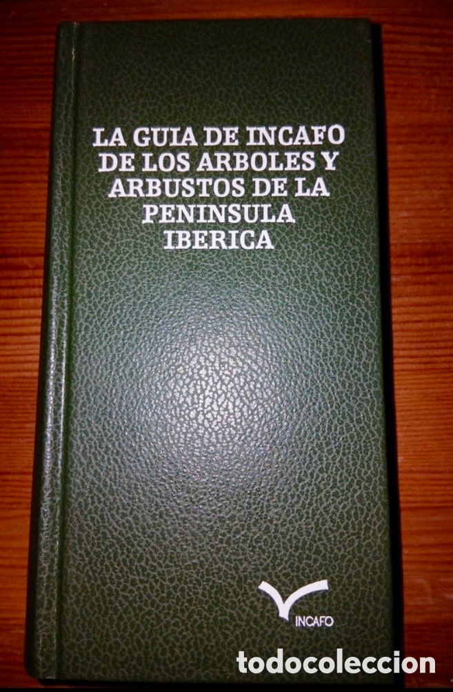 Libros de segunda mano: Gu&iacute;a INCAFO de los &aacute;rboles y arbustos de la Pen&iacute;nsula Ib&eacute;rica.