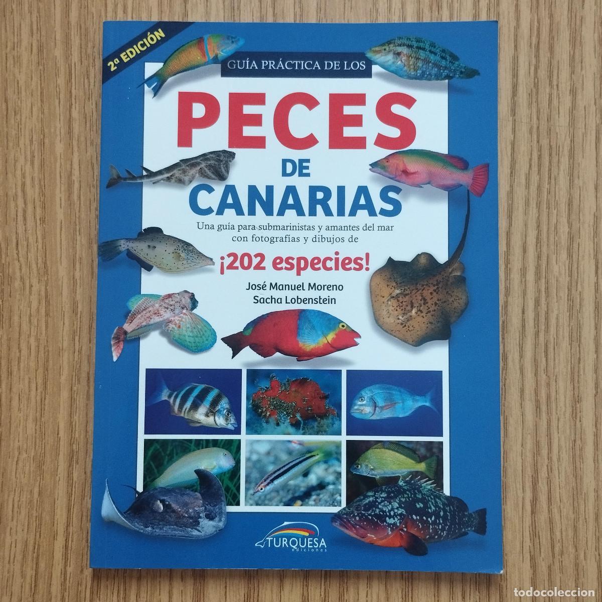 Libros de segunda mano: Libro GU&Iacute;A PR&Aacute;CTICA DE LOS PECES DE CANARIAS | EDITORIAL TURQUESA | Tenerife - Canarias