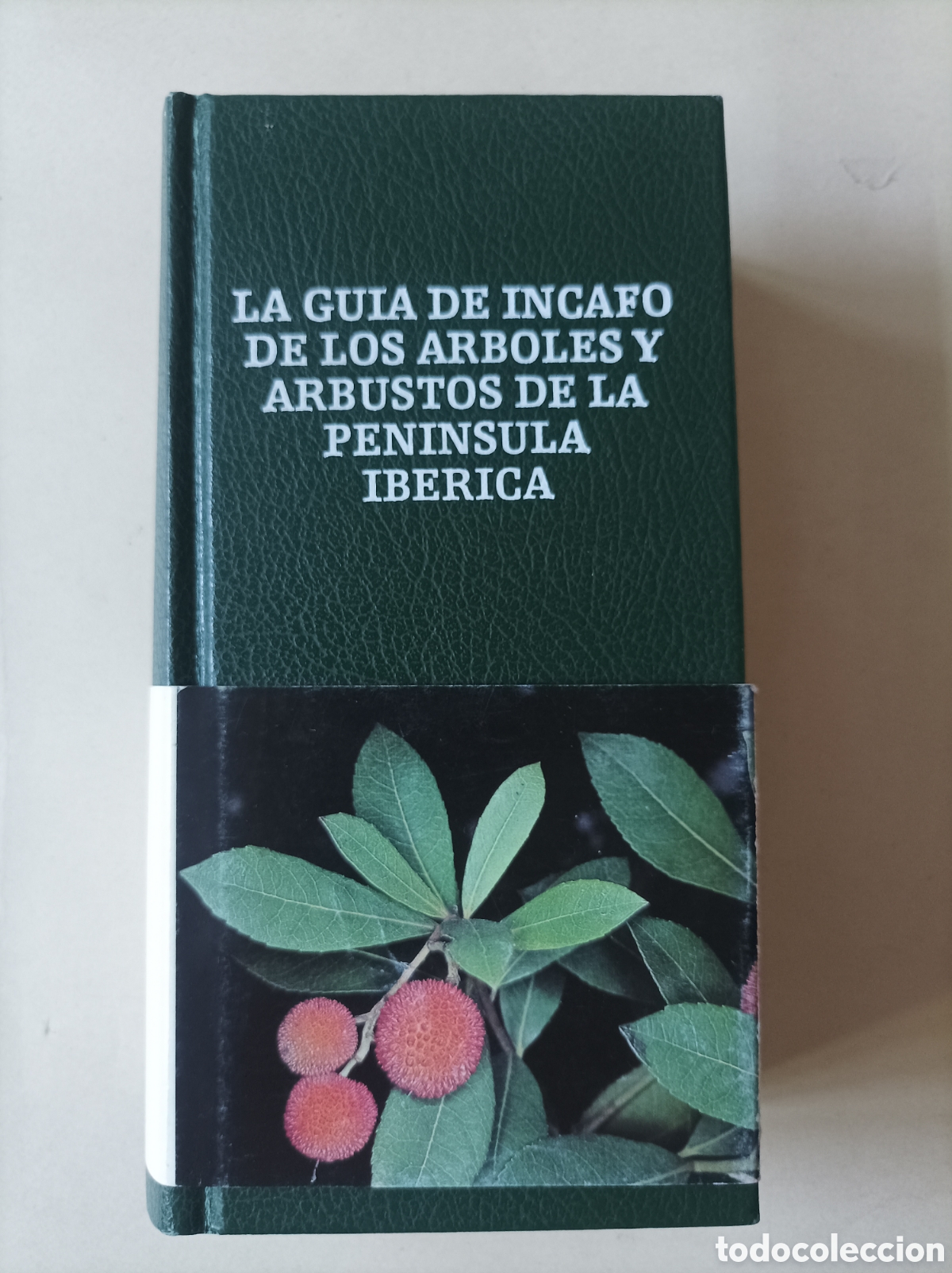 Livres d'occasion: La gu&iacute;a de INCAFO de los &aacute;rboles y arbustos de la Pen&iacute;nsula Ib&eacute;rica / Gin&eacute;s L&oacute;pez Gonz&aacute;lez