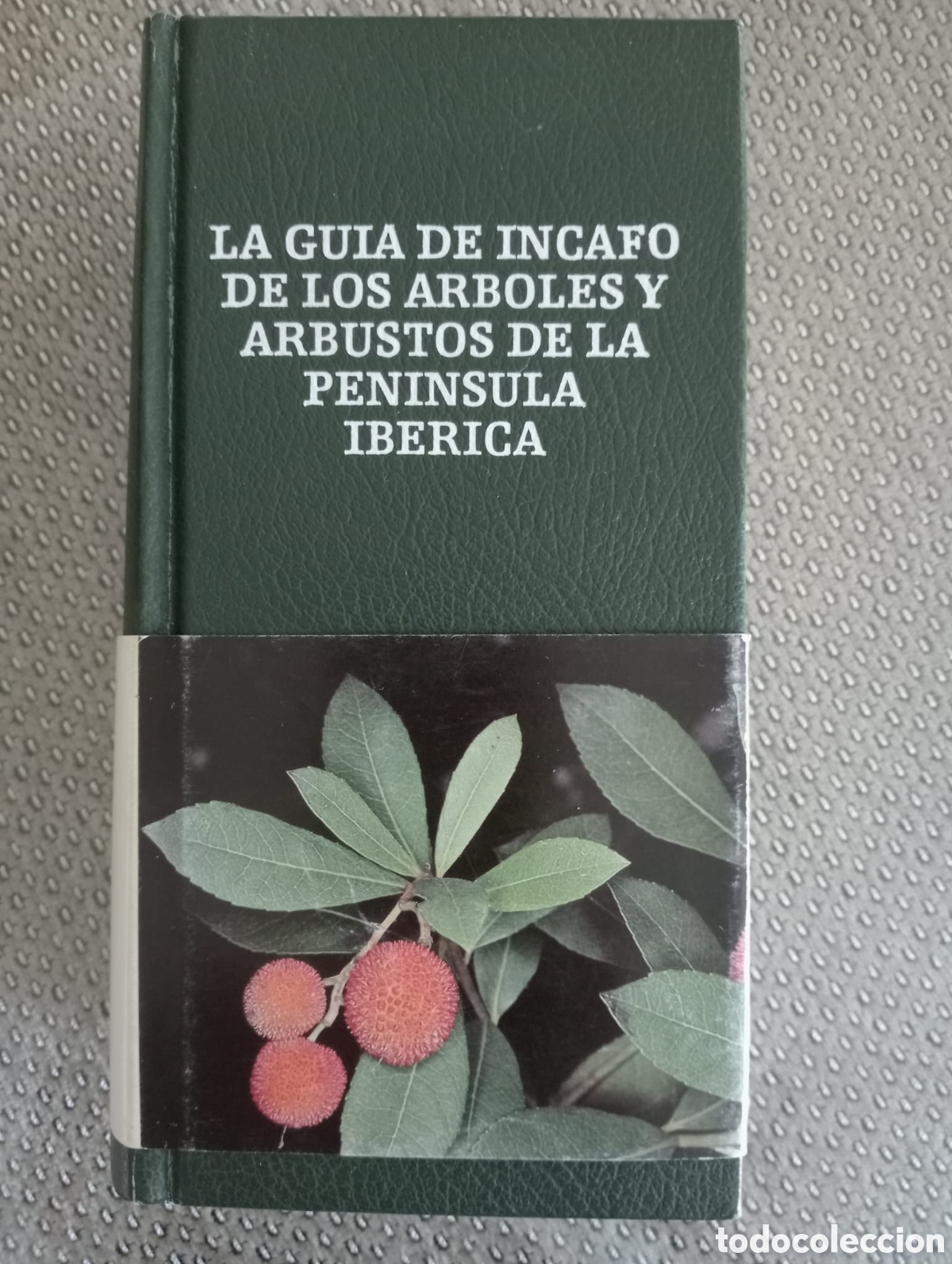 Libros de segunda mano: La gu&iacute;a de INCAFO de los &aacute;rboles y arbustos de la Pen&iacute;nsula Ib&eacute;rica / Gin&eacute;s L&oacute;pez Gonz&aacute;lez