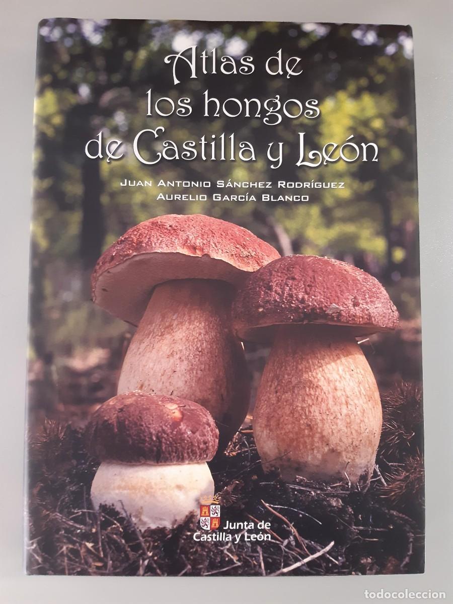 Gebrauchte B&uuml;cher: ATLAS DE LOS HONGOS DE CASTILLA Y LE&Oacute;N - Juan Antonio S&aacute;nchez Rodr&iacute;guez MICOLOGIA EDIC LUJO