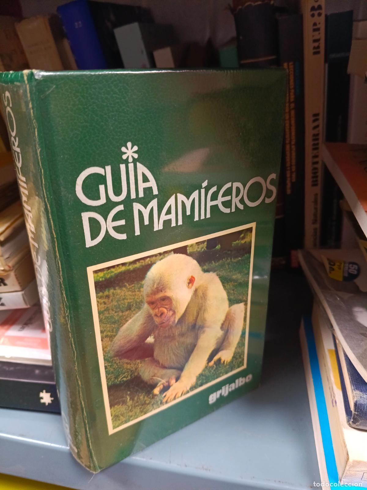 Libros de segunda mano: LUIGI BOTANI - GUIA DE MAMIFEROS - GRIJALBO