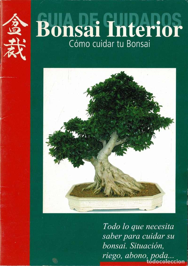 Libros de segunda mano: C&oacute;mo cuidar tu bonsai