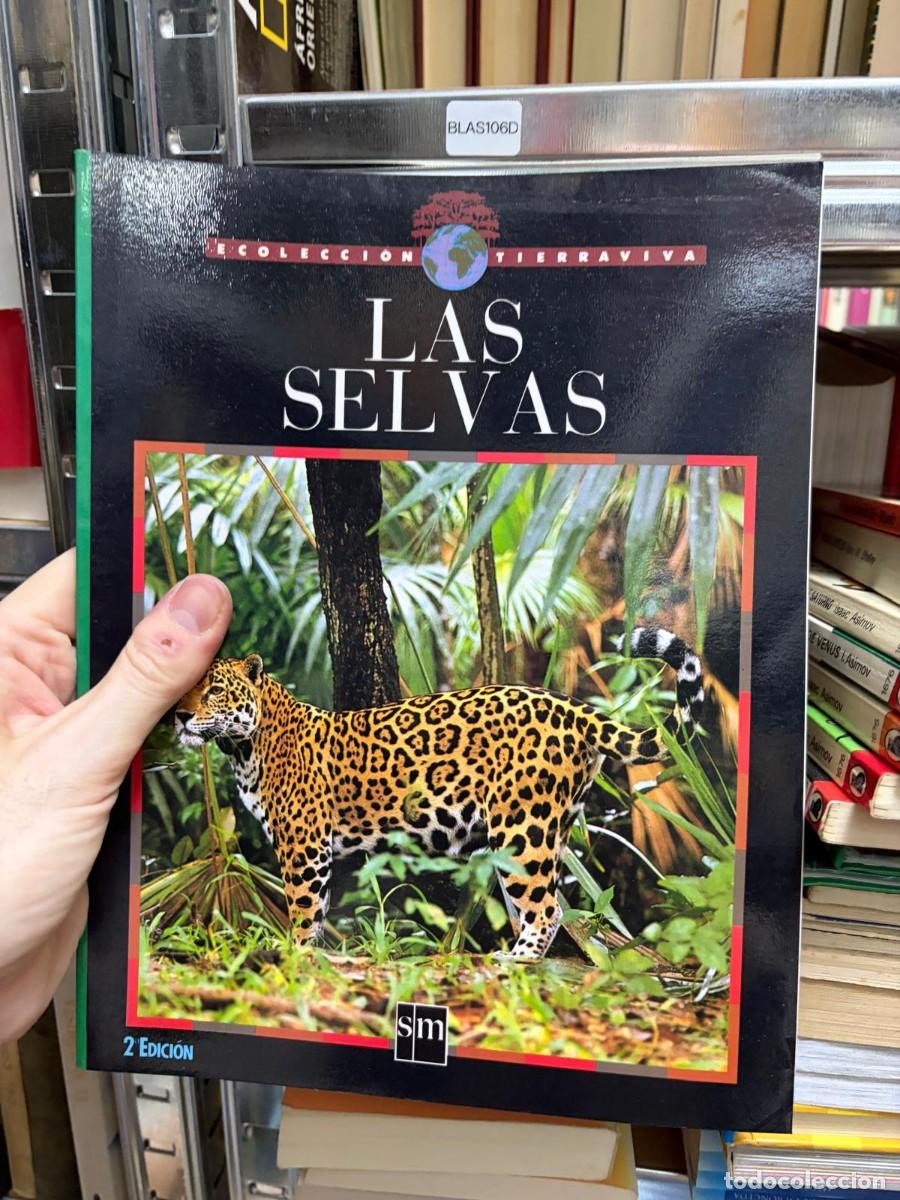 Libros de segunda mano: BLAS106D (COLECCI&Oacute;N TIERRA VIVA tierraviva) Las selvas SM