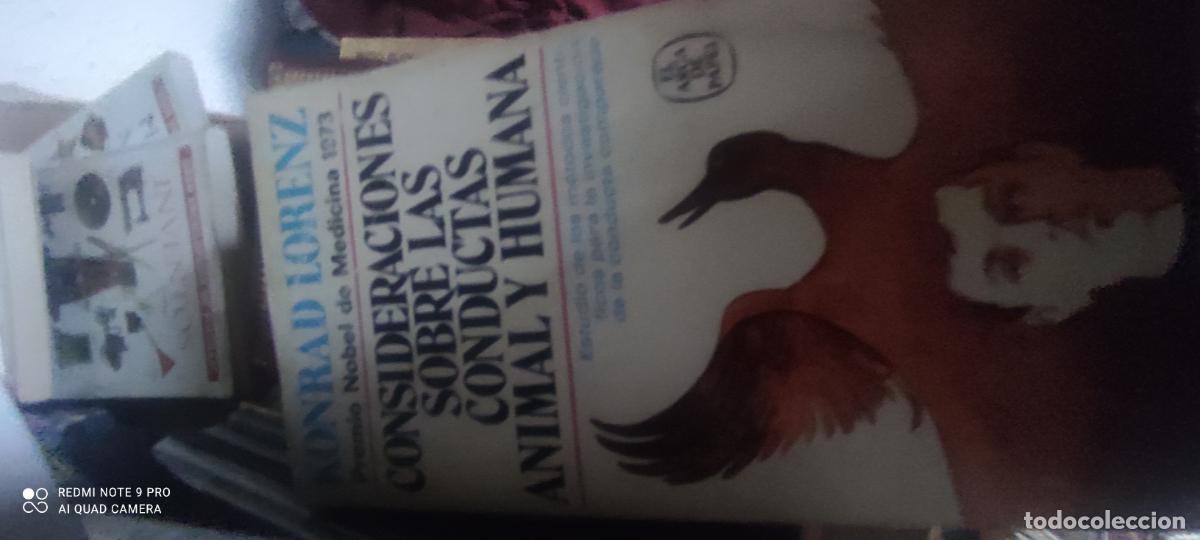 Libros de segunda mano: Konrad Lorenz - consideraciones sobre las conductas animal y humana