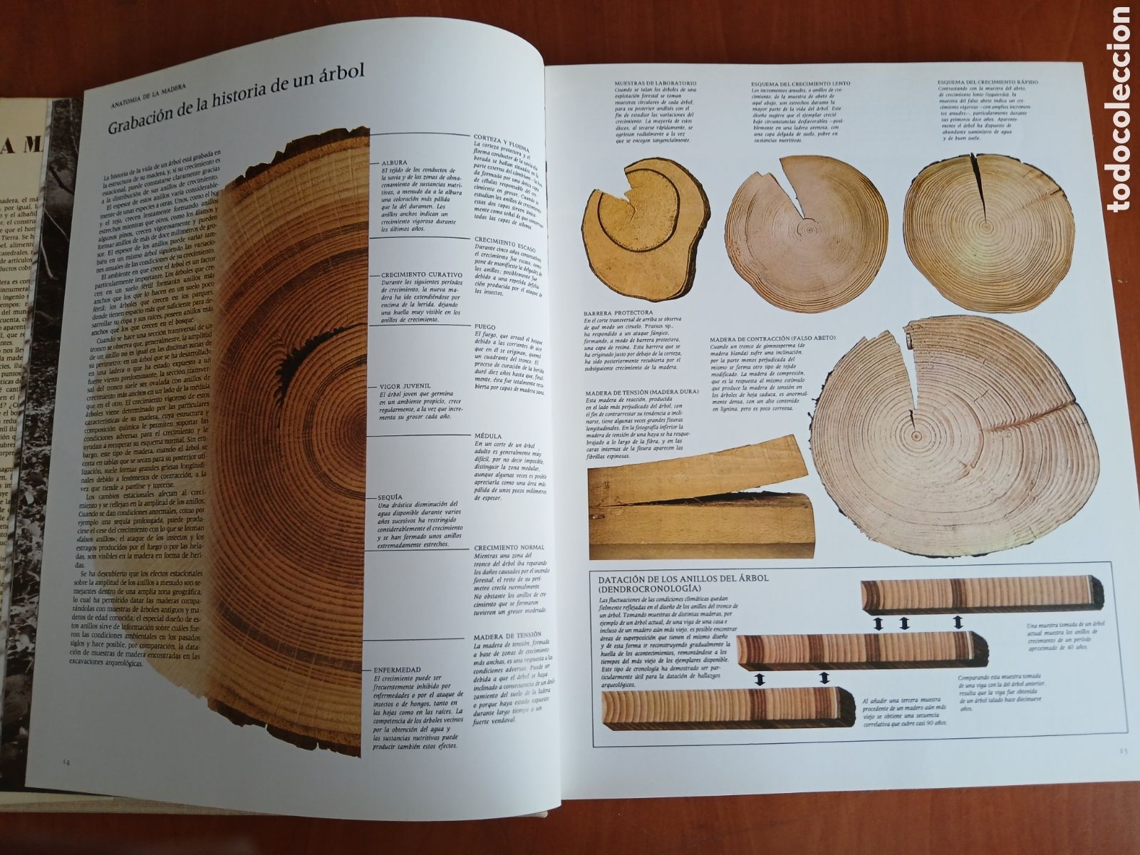 Libros de segunda mano: La Madera. Editorial Blume. - Foto 5