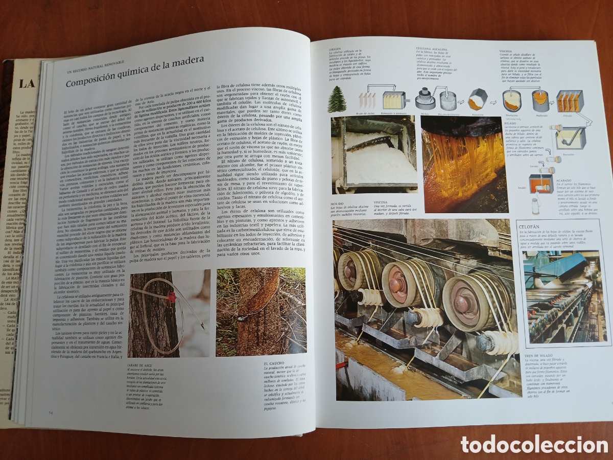 Libros de segunda mano: La Madera. Editorial Blume. - Foto 7