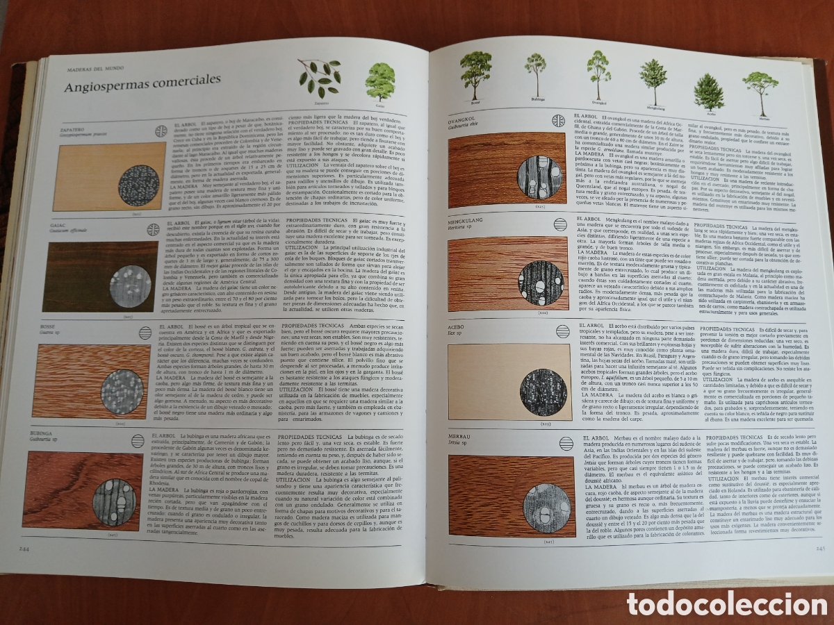 Libros de segunda mano: La Madera. Editorial Blume. - Foto 18