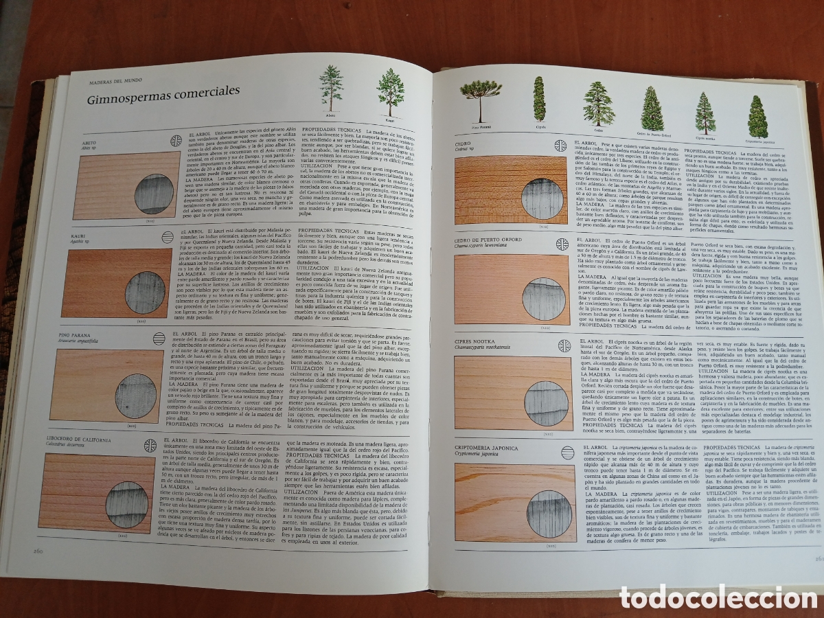 Libros de segunda mano: La Madera. Editorial Blume. - Foto 19